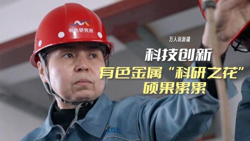 智能客服用户体验，揭秘十大品牌背后的核心要素